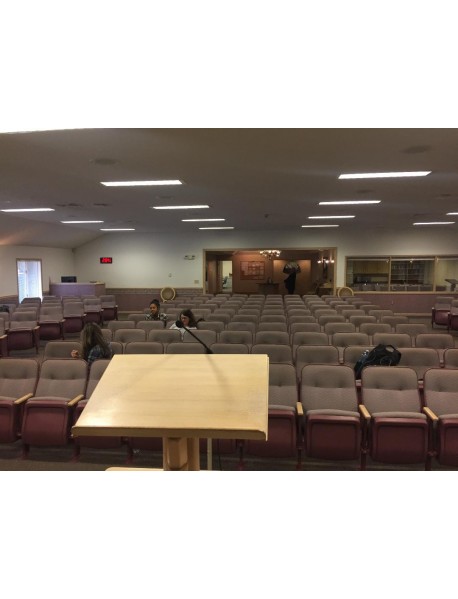 195 Used Auditorium Fixed back seating and chairs
