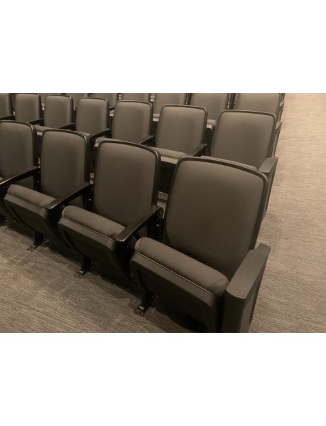310 High End black Auditorium chairs