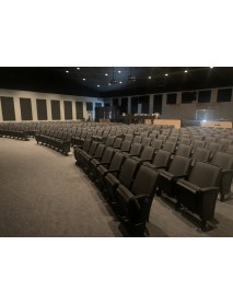 310 High End black Auditorium chairs