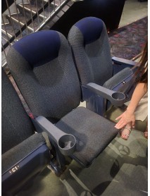 1000 Blue Fixed Back Movie Theater Chairs with cup holder armrest Maryland area