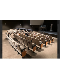 390 Fancy Tan Church or Movie theater chairs