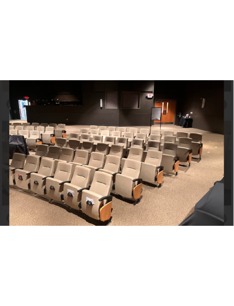390 Fancy Tan Church or Movie theater chairs