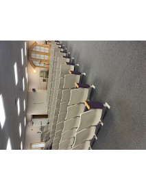 30 clean Purple and White auditorium chairs (place of worship)