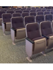 146 Beautiful Lavender and Purple Movie Theater or Auditorium seating and chairs